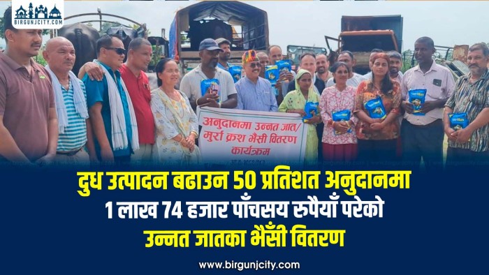 दुध उत्पादन बढाउन ५० प्रतिशत अनुदानमा एक लाख ७४ हजार ५०० रुपैयाँ परेकाे उन्नत जातका भैँसी वितरण