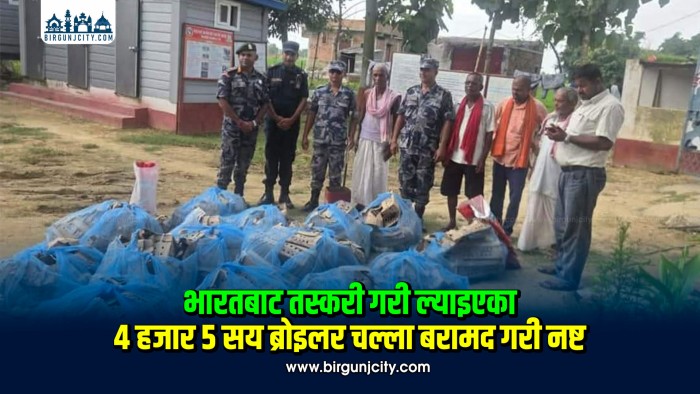 पर्सामा ४ हजार ५ सय भारतीय कुखुराका चल्ला बरामद गरी नष्ट