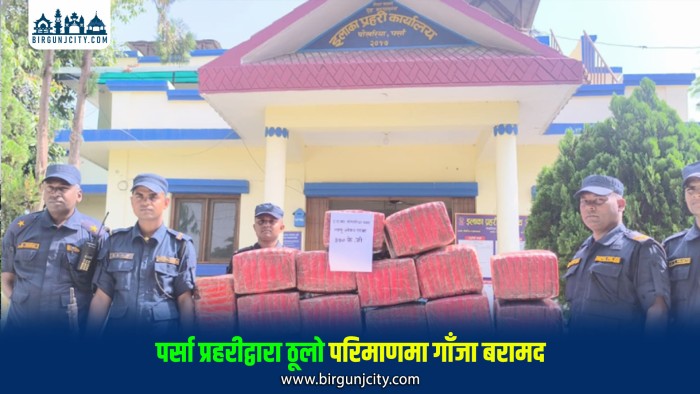 झाडीमा लुकाएर राखिएको ३ सय ७० किलो गाँजा फेला