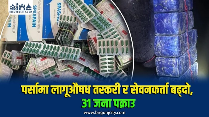 खुला सीमाका कारण पर्सामा लागूऔषध तस्करी र सेवनकर्ता बढ्दो, ३१ जना पक्राउ