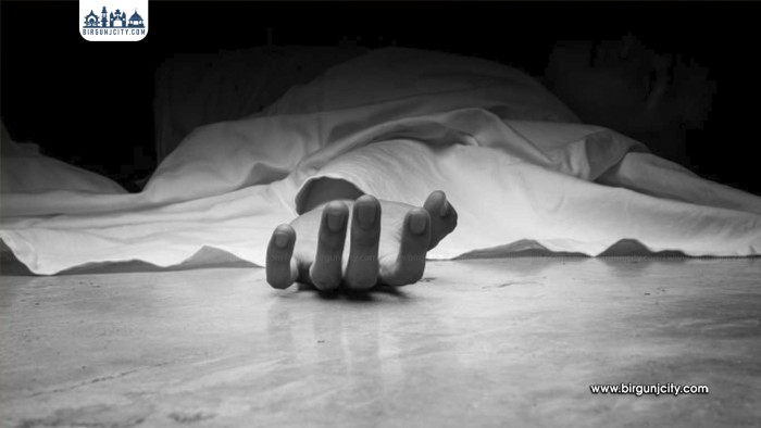 वीरगंजका एक विद्यार्थी काठमाडौंमा गरे अ‌ा'त्म•ह'त्य|