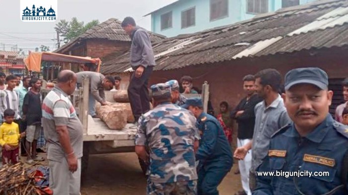 पर्सामा अवैध साल काठसहित ट्याक्टर नियन्त्रणमा, एक जना पक्राउ