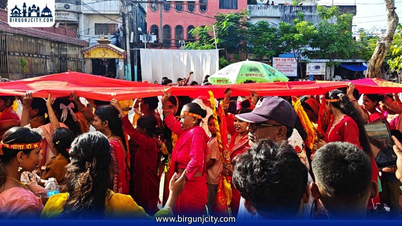 वीरगंजमा १ सय ५१ मिटर लामो चुनरी यात्रा, गहवामाई मन्दिरमा विशेष पूजाअर्चना