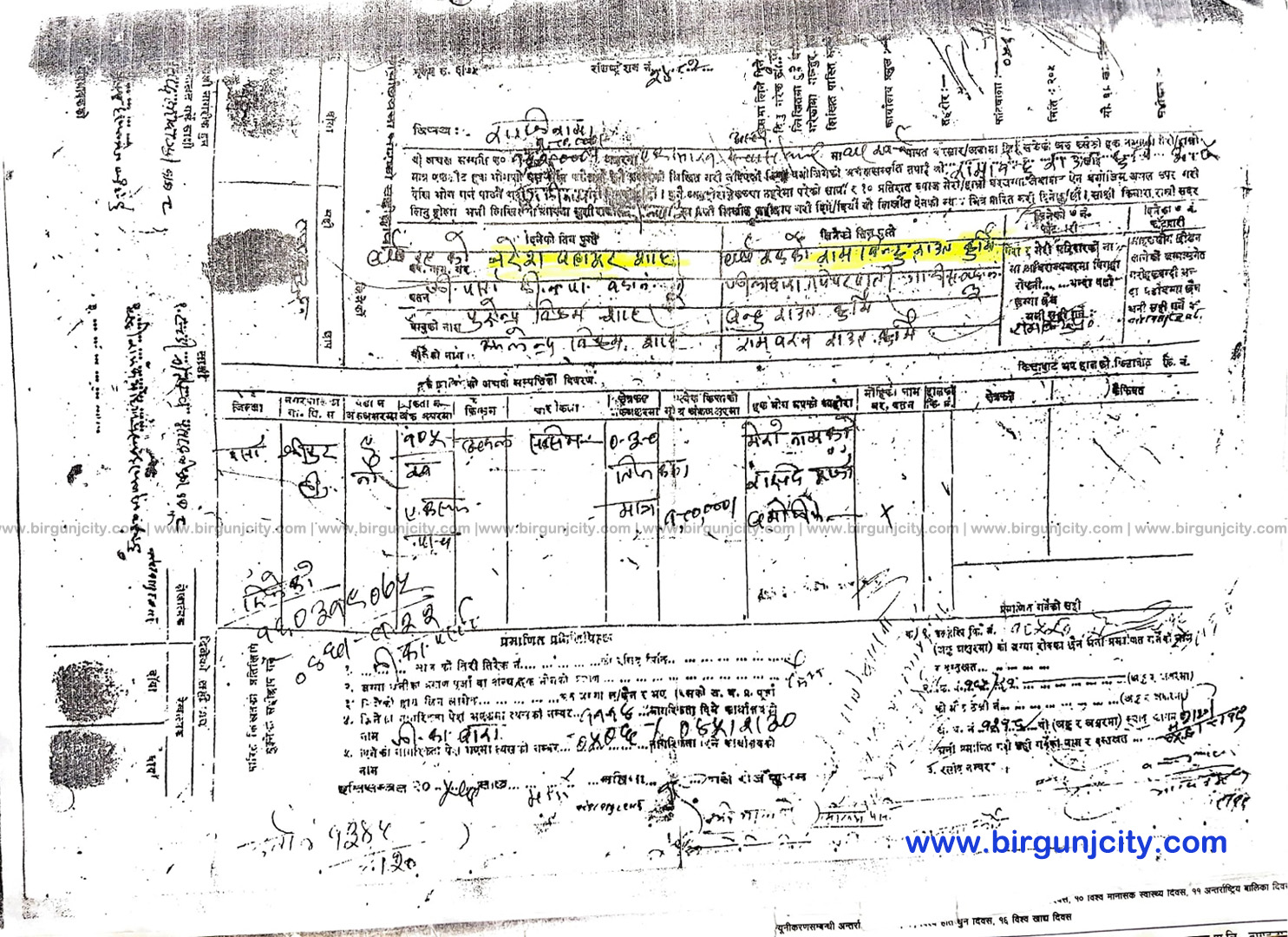 Naresh-Bata-Rambindu---Birgunj-city-1752991079.jpg