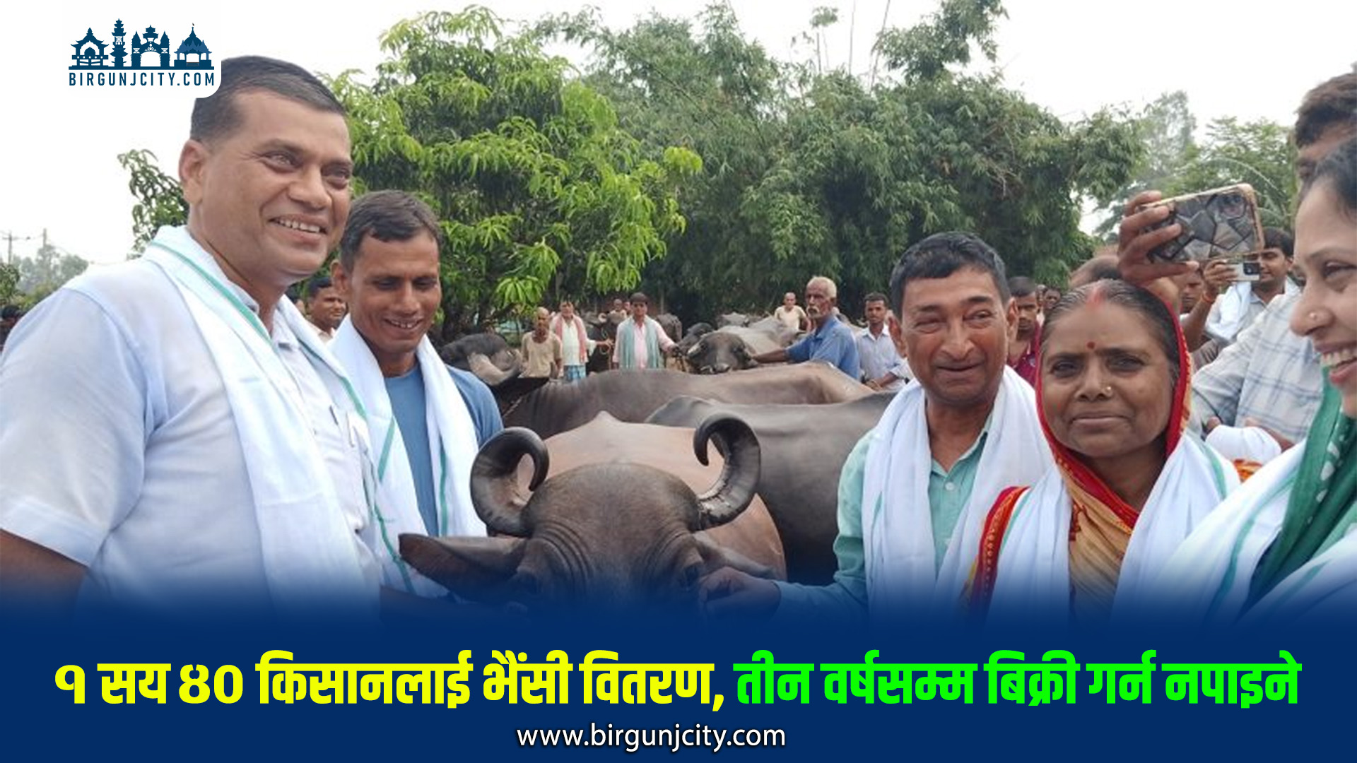 १ सय ४० किसानलाई जीविकोपार्जन सुधारका लागि भैंसी वितरण,तीन वर्षसम्म बिक्री गर्न नपाइने
