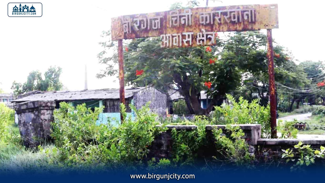वीरगंज चिनी कारखाना पुनः सञ्चालनका लागि सम्भाव्यता अध्ययन गर्न कार्यदल गठन