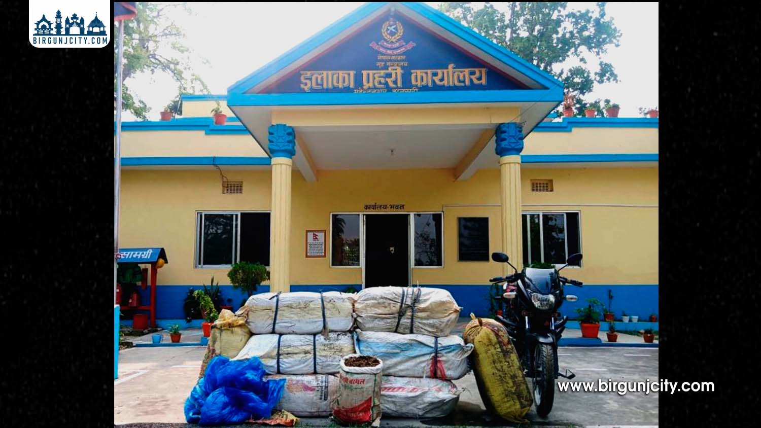 सुनसरीमा २२५ केजी गाँजासहित दुई जना पक्राउ