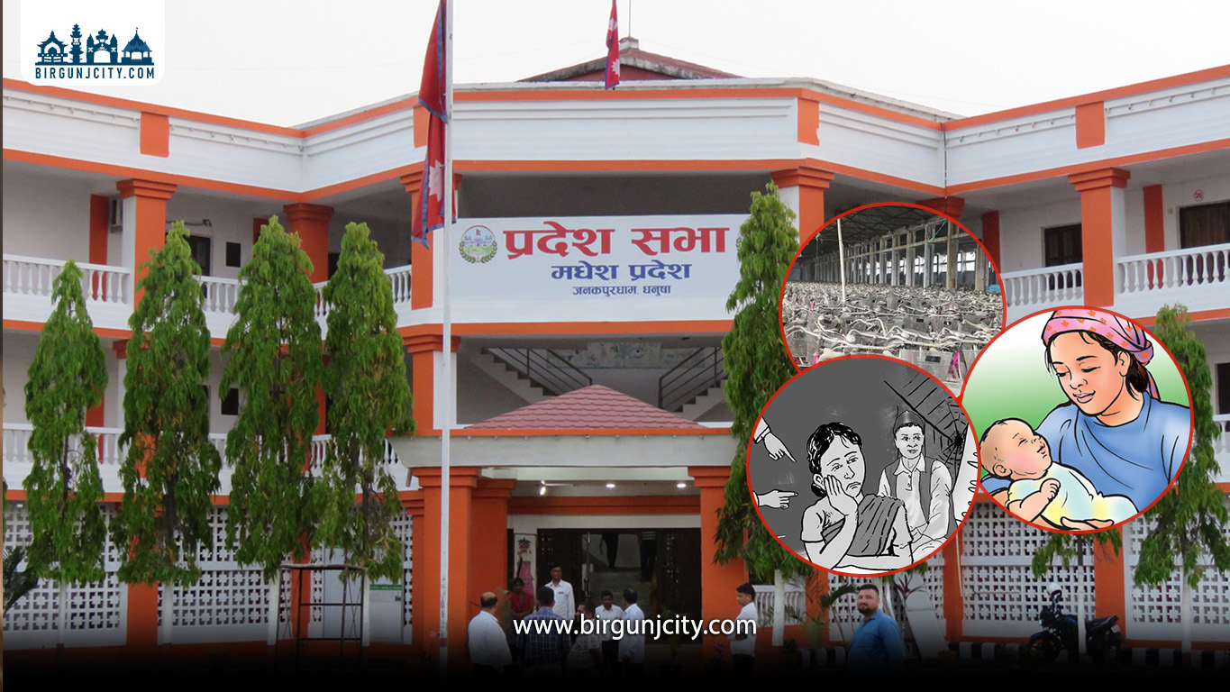 मधेस प्रदेशमा राजनीतिक अस्थिरताले ‘प्रदेश गौरव’का योजना अलपत्र, साइकल वितरणदेखि छोरी बीमासम्म