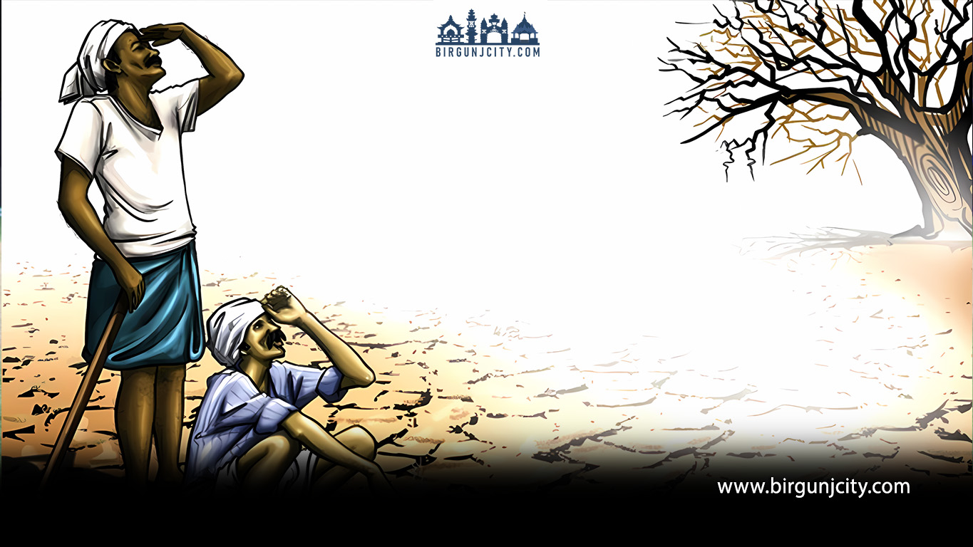 मधेशमा सिँचाइ समस्या जटिल बन्दै : धेरै ट्युबवेल अधुरै, किसान अझै वर्षामा निर्भर